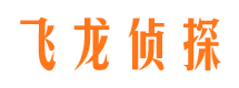 定边飞龙私家侦探公司